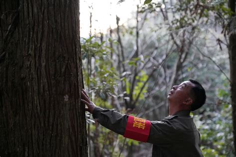 致敬最坚实的绿色守卫者——赣州市5人荣获全省“最美护林员”称号 | 赣州市人民政府