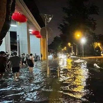 北京大雨后，一群人在护城河里捞鱼_手机凤凰网