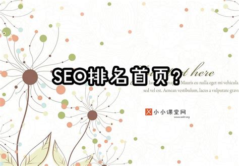 网站关键词如何布局（seo如何做关键词到首页）-8848SEO