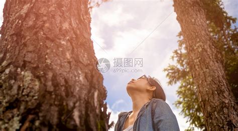 一位快乐的女士站在一棵雄伟的树旁仰望着春园中最享受的自然环境旅行和非毁林概念松弛绿色公园高清图片下载-正版图片308055289-摄图网