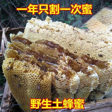 蜂巢蜜500g蜂巢蜜嚼着吃土蜂蜜纯正天然农家自产蜂窝蜜采野生花源
