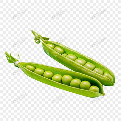 小豌豆