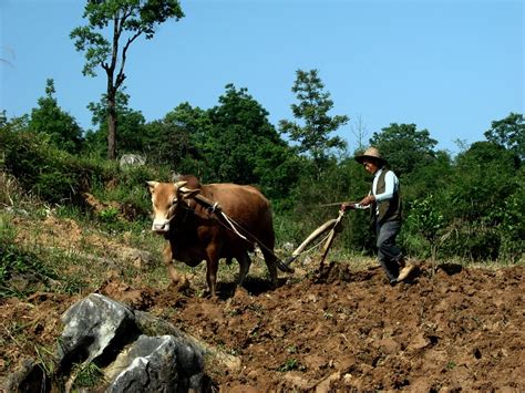 漫谈保护性耕作 - 中国保护性耕作网