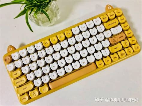 IQUNIX键盘怎么样 可爱的猫猫机械键盘_什么值得买