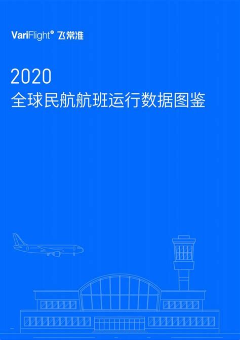 飞常准：2020年全球民航航班运行数据图鉴_word文档在线阅读与下载_免费文档