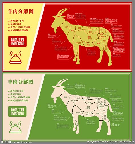牛羊肉分割部位图设计图__海报设计_广告设计_设计图库_昵图网nipic.com