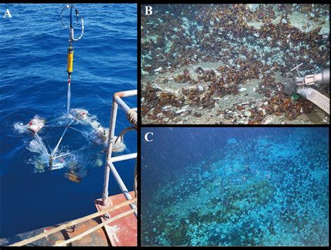 深海国家重点实验室海洋采矿科技中心揭牌-矿山系统工程研究所
