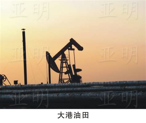 最新！2022年中国十大油田排行榜！-国际石油网
