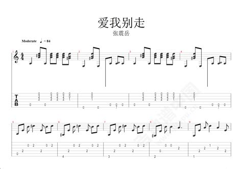 爱我别走（G调吉他教学版） - 张震岳 - 吉他谱（含弹唱视频）(酷音小伟编配) - 嗨吉他