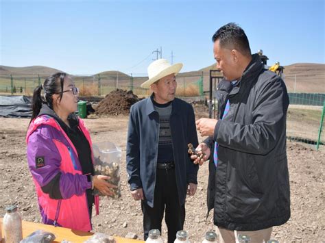 甘南州草原站指导服务玛曲县退化沙化草原生态修复试点项目建设-甘南藏族自治州林业和草原局