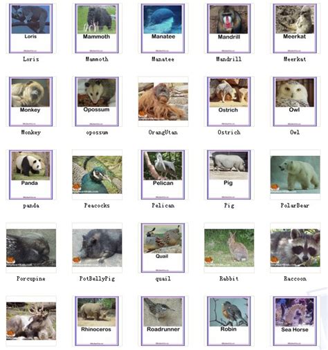 12生肖每个动物的来历 12生肖动物来源-起名网