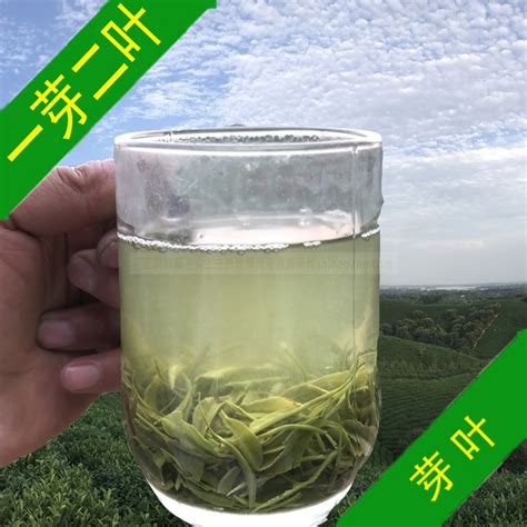 统一绿茶 500ml/瓶*15嫩茶味好茶味经典绿茶饮料-阿里巴巴