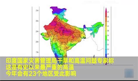 印度高温熔化马路 看看印度50℃高温下的人和动物【图】_新闻频道_中国青年网