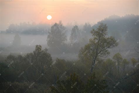 喀纳斯 晨雾从湖面升起，太阳的光透着树林洒向大地……|晨雾|喀纳斯|湖面_新浪新闻