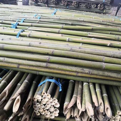 供应支撑用毛竹梢 绿化支撑竹 各种规格大棚竹杆 农用菜架竹绿化-阿里巴巴