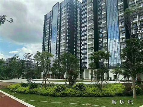 深圳石岩小产权房及大型村委统建楼2023年新楼盘在售价格「粤房吧」