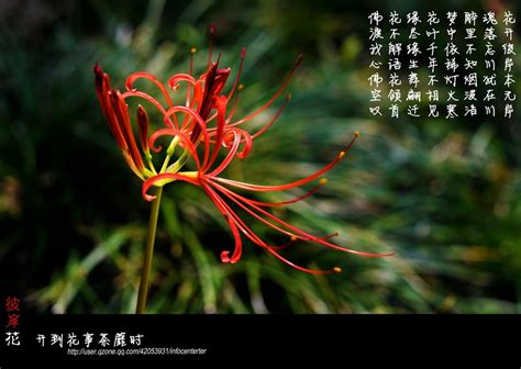 流水梁上月_[标签:标题1]