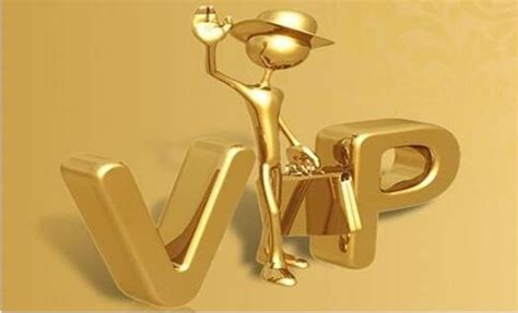 .VIP域名首次现身中国企业互联网技术与产业峰会-梦想从一个“域名”开始！