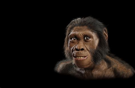 五大洲的古猿，为什么都进化成了人类？ - 知乎