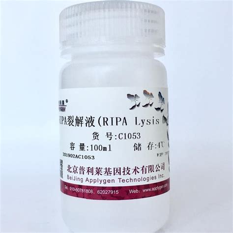 普利莱 RIPA裂解液(强) (Enhanced ripa Lysis Buffer)C1053+ 厂家批发