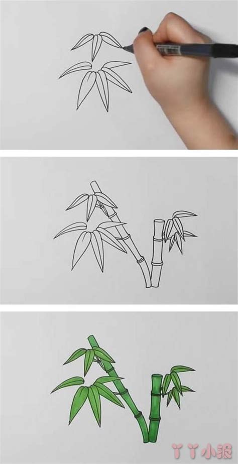 简单的竹子简笔画_绿色植物