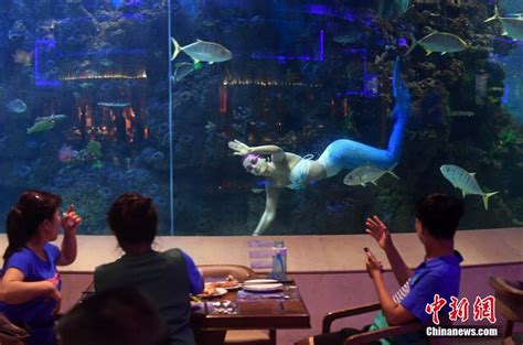 首届中国美人鱼表演赛三亚开赛-大河网