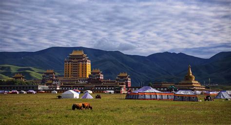 安多地区藏族的新年习俗 藏地阳光新闻网