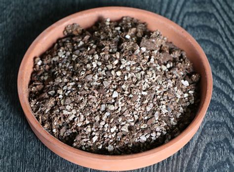 厂家直销轻质种植土 有机花卉育苗基质花卉土 基质营养土-阿里巴巴