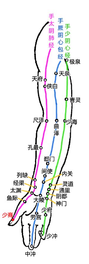 少商穴位图图片