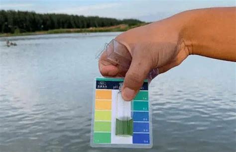 为什么你的池塘pH值会变化_藻类