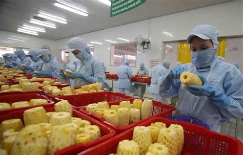 越南“2021-2030年蔬果加工业发展提案”支持投资食品辐照中心建设 - 核技术在食品领域的应用有哪些？