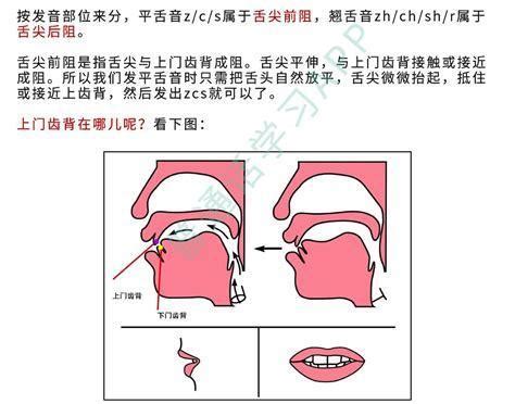 舌头放对位置真的很重要 舌头应该怎么放 _八宝网