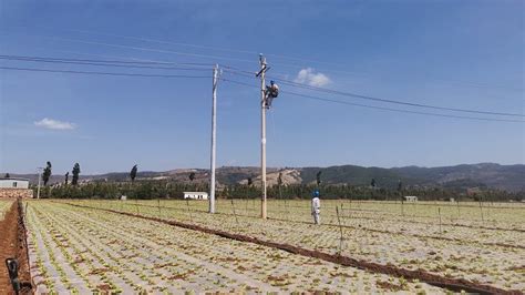 南方电网云南曲靖陆良供电局：线路绝缘改造 蔬菜灌溉用电更可靠|线路|绝缘|云南曲靖_新浪新闻