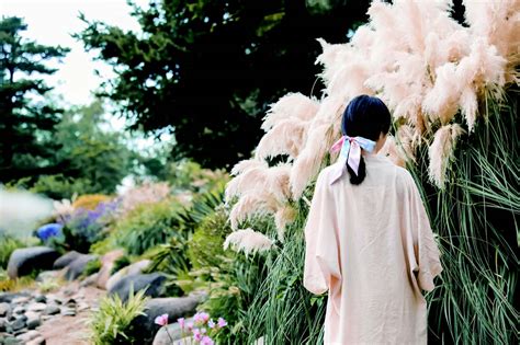 辰山植物园“禾草园”进入最佳观赏期--松江报