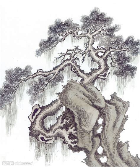 水墨画松树设计图__自然风光_自然景观_设计图库_昵图网nipic.com