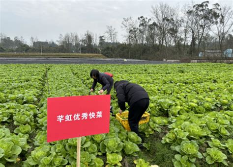 市农技总站组织专家赴丰都推进专用型花椒新品种认定工作 - 重庆农业技术推广信息网