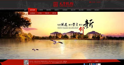 河南加速度医药科技发展有限公司网站设计制作_网站案例_郑州网站建设 - 新速科技