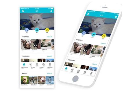 最大的宠物猫交易平台-宠物交易app软件哪个比较靠谱-酷派宠物网
