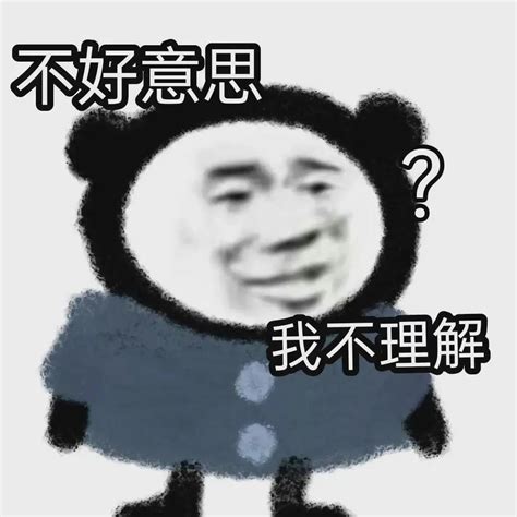 表情包我不理解图片
