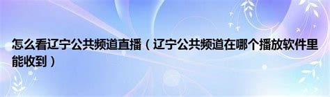 连云港电视台公共频道直播「高清」