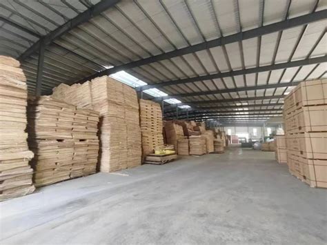 菏泽牡丹区开展“木材加工产业链”专题调研-中国木业网