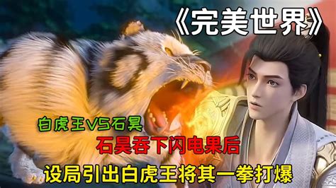 电击白虎拳_[标签:标题1]