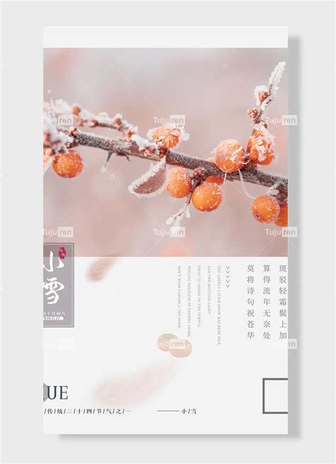 小雪农历十月初八中国传统二十四节气果实近景拍摄海报素材模板下载 - 图巨人