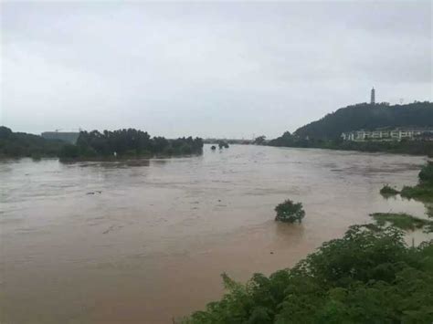 兰江今年首轮超警戒水位洪水顺利通过兰溪 水位正在下降--金华频道