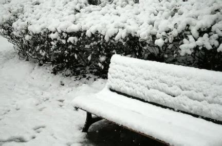 今日“大雪”！安徽会下雪吗？_天气