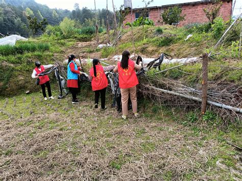 【环境卫生整治】3月15日，良村镇上迳村组织人员进行环境卫生整治 | 兴国县信息公开