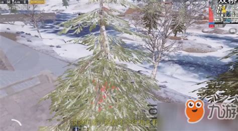 《绝地求生刺激战场》雪地地图怎么上树 雪地地图上树技巧分享_九游手机游戏