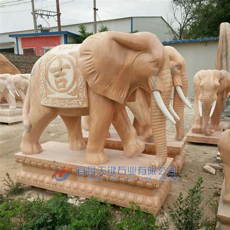 石雕大象怎么摆放以及如何区分公母|湖北石雕大象厂家