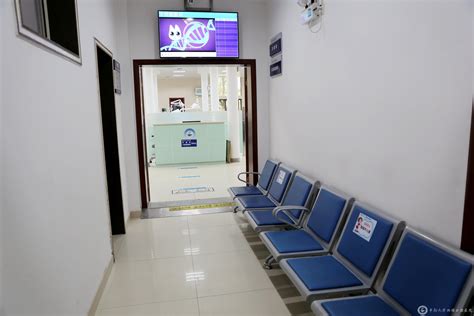 今起，位于龙岗的这家市属公立医院正式开诊！_深圳新闻网