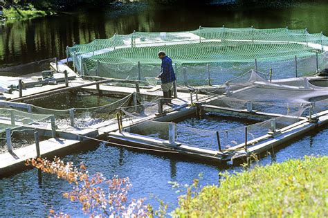 水产养殖解决方案 - 坤典科技